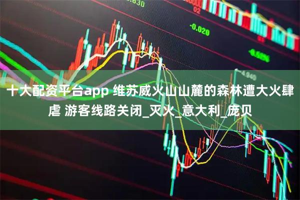 十大配资平台app 维苏威火山山麓的森林遭大火肆虐 游客线路关闭_灭火_意大利_庞贝